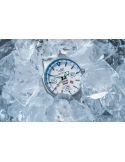 Vostok Europe Expedition North Pole Frost NH34-595A773B - Zegarki VOSTOK EUROPE