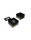 Certina DS PH200M Lady C036.207.18.126.00 - Zegarki CERTINA