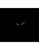 Zegarek klasyczny damski Citizen TITANIUM Lady EW2210-53L na bransolecie