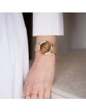 Zegarek klasyczny, elegancki damski Citizen Lady Ambiluna EM1003-48X Set Earth na bransolecie